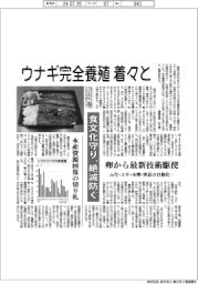 ウナギ完全養殖 着々と