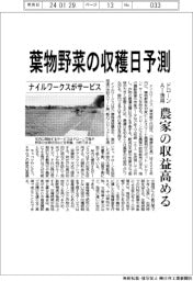 ナイルワークス、葉物野菜の収穫日予測 年内にサービス開始