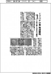 関西学院大学など、ミツバチの巣の発達解明　土台の形・大きさで変化