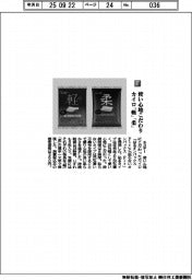エステー／使い心地こだわり　カイロ「軽」「柔」