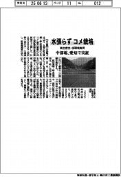 中部電、水張らずにコメ栽培　愛知で実証　高生産性・低環境負荷
