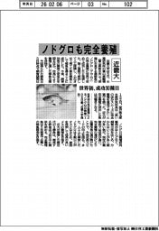近畿大、ノドグロ完全養殖　世界初