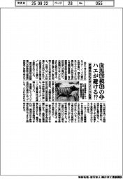白黒縞模様の牛をハエが避ける⁉　児島氏らにイグ・ノーベル賞