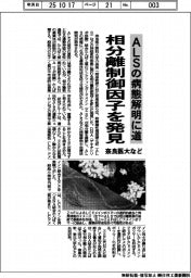 奈良医大など、ＡＬＳの病態解明に道　相分離制御因子を発見