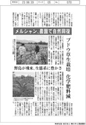 メルシャン、農園で自然回復　ブドウ草生栽培、化学肥料減