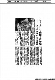 京大、ヒトｉＰＳから胸腺上皮細胞　Ｔ細胞への分化確認