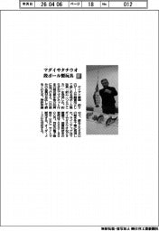 ケイアイ静岡／マダイやタチウオ　段ボール製玩具