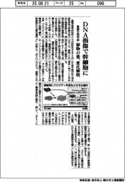 基礎生物学研、ＤＮＡ損傷で幹細胞に　植物の葉、変化解明