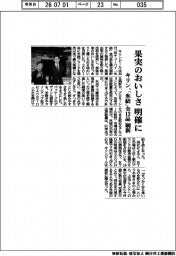 キリンビール、果実のおいしさ明確に 「氷結」全13品刷新
