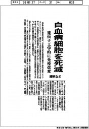 理研など、白血病細胞を死滅　遺伝子工学的に免疫改変
