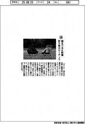 デイトナ／頭まで支え快適　折り畳みローチェア