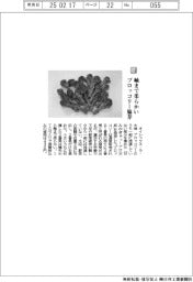 オイシックス・ラ・大地／軸まで柔らかい ブロッコリー脇芽