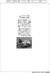 井関農機／サツマイモ苗　効率良く移植
