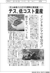 テス、ヤシ由来バイオマス燃料を低コスト量産　インドネシアで年２０万トン