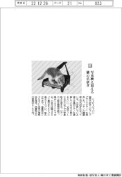 シービージャパン／写真映えする猫の爪とぎ