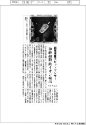 NTTなど、超電導量子ビットセンサー 神経細胞の鉄イオン検出