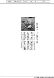 ホーコス／台座・テーブル付属たき火台