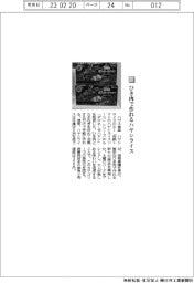ハウス食品/ひき肉で作れるハヤシライス
